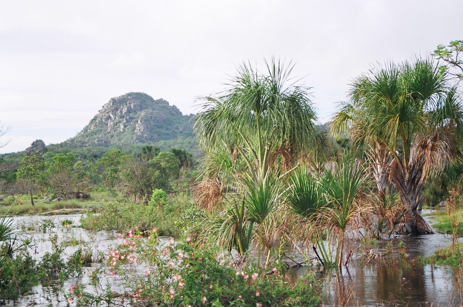 Parque Estadual Serra do Cabral