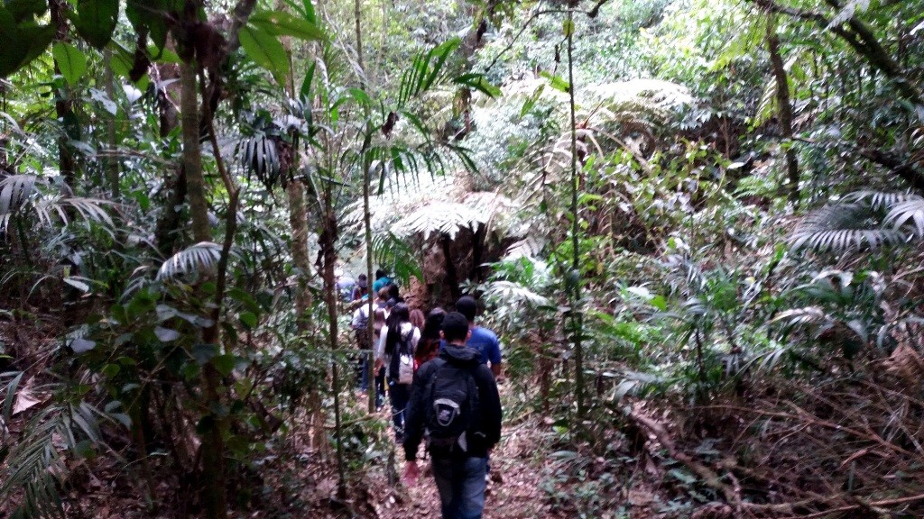 Trilha do Muriqui