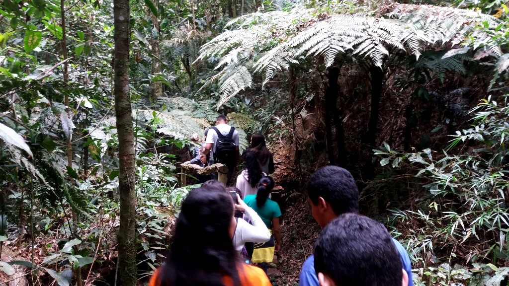 Trilha do Muriqui