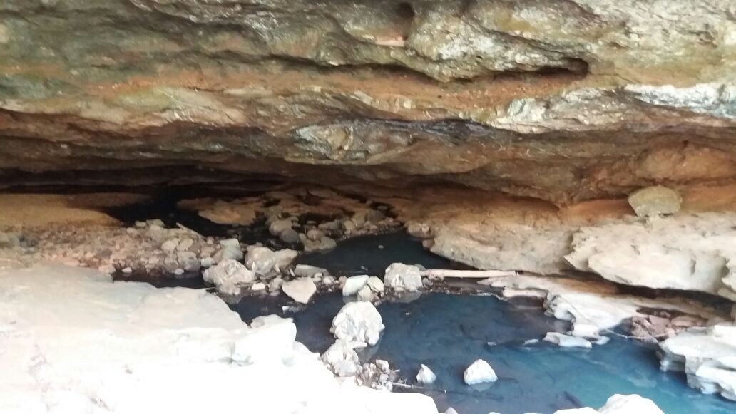 Lapa de Alberto