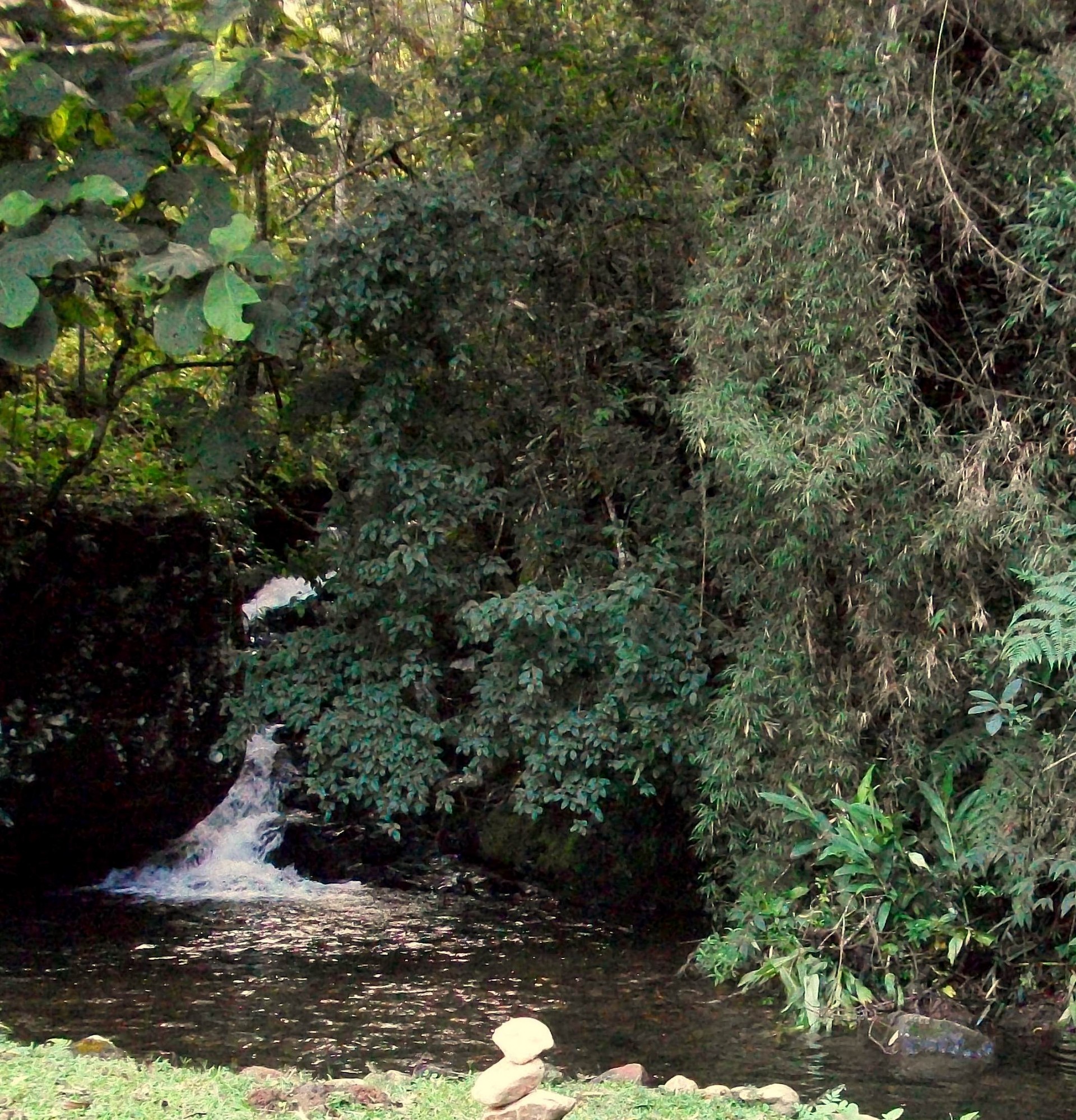 Cachoeira da Encantada 