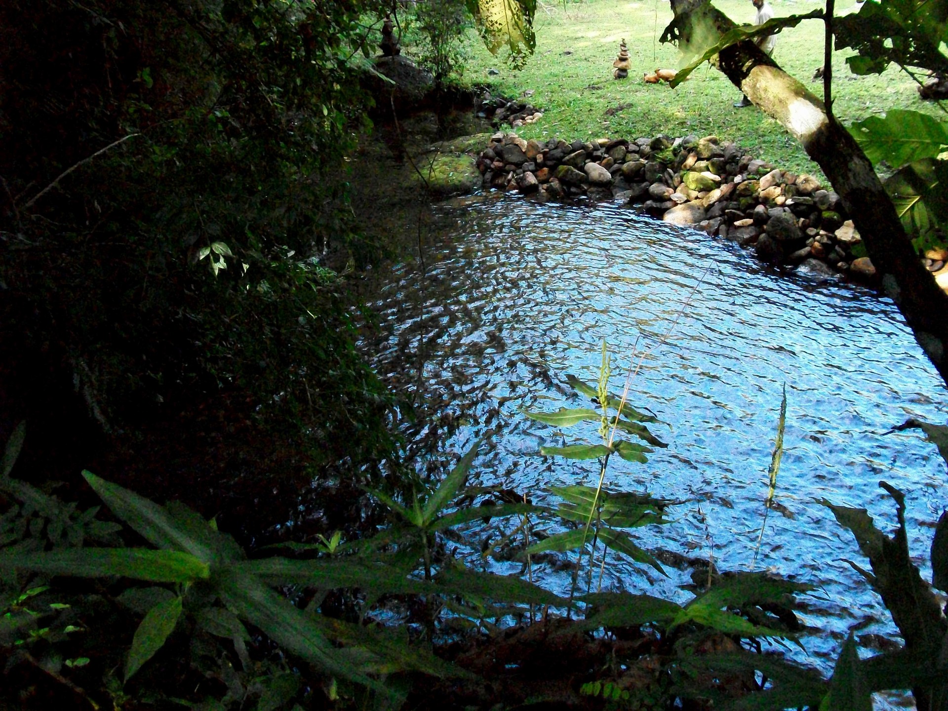 Cachoeira da Encantada 