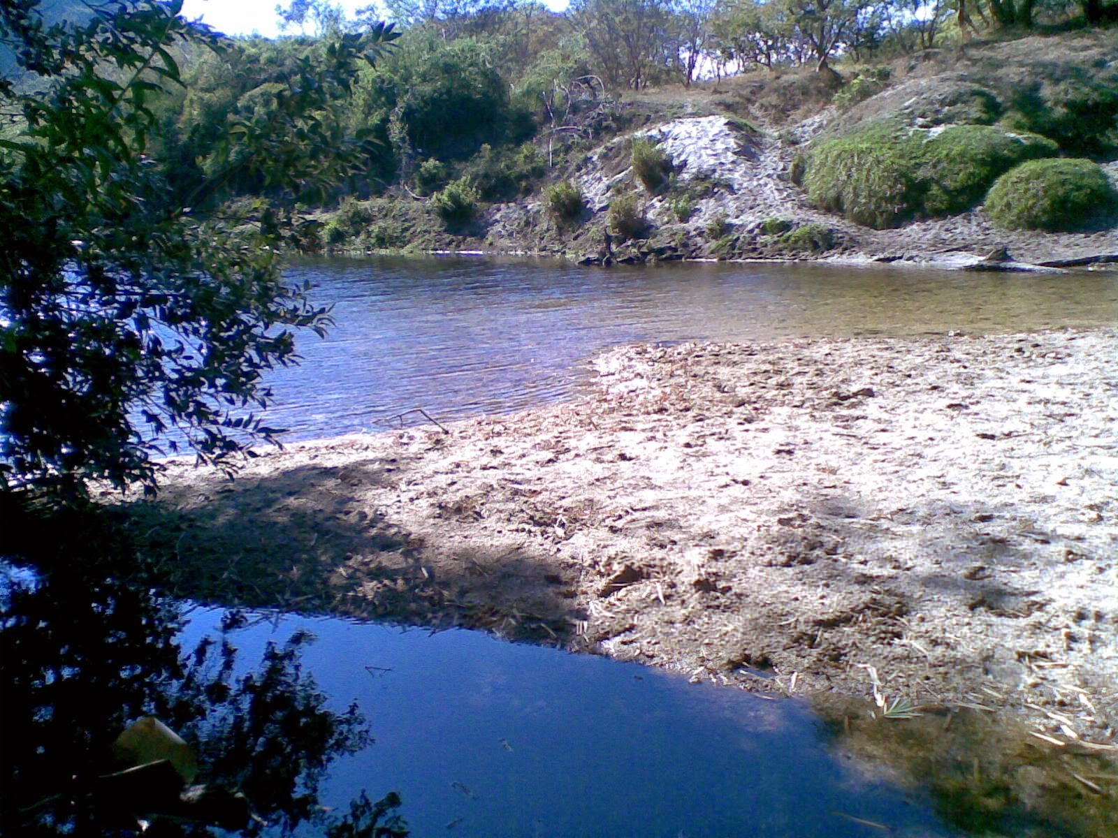 Bambuzal