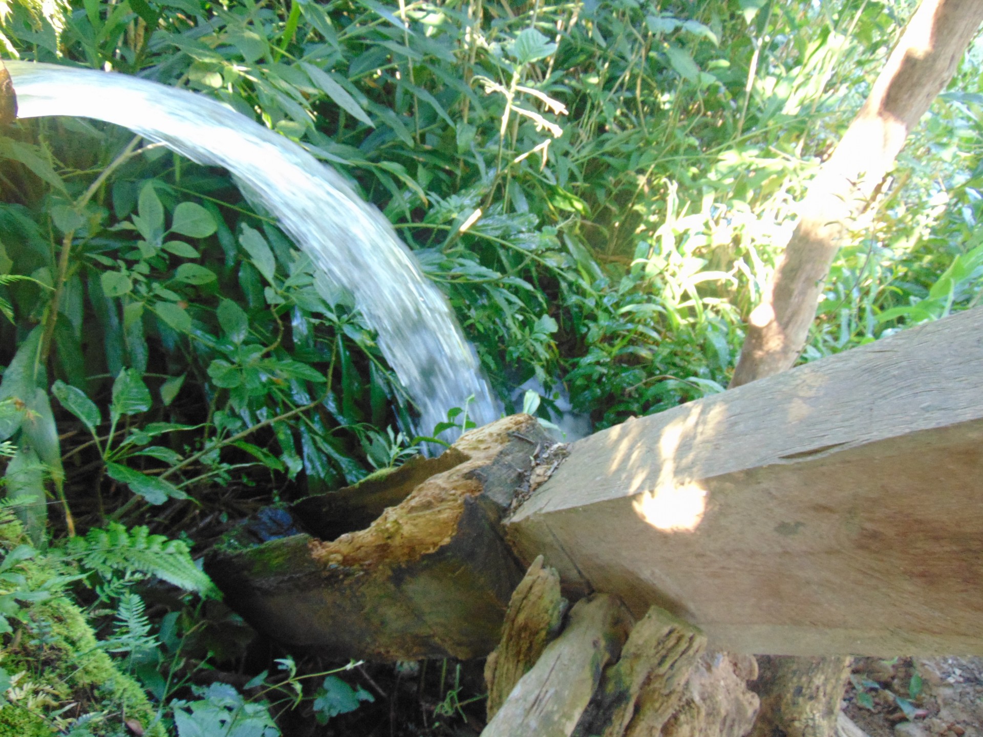 Monjolo D'Agua 