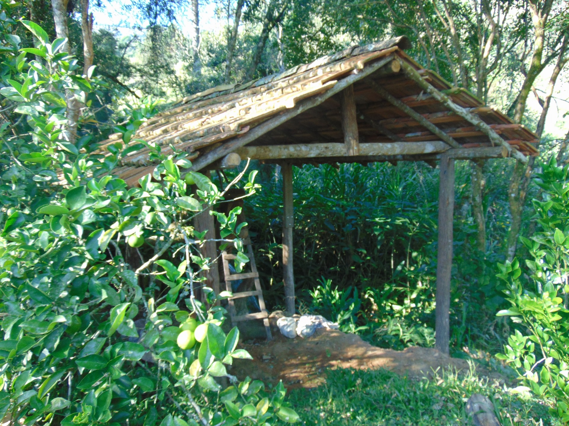 Monjolo D'Agua 
