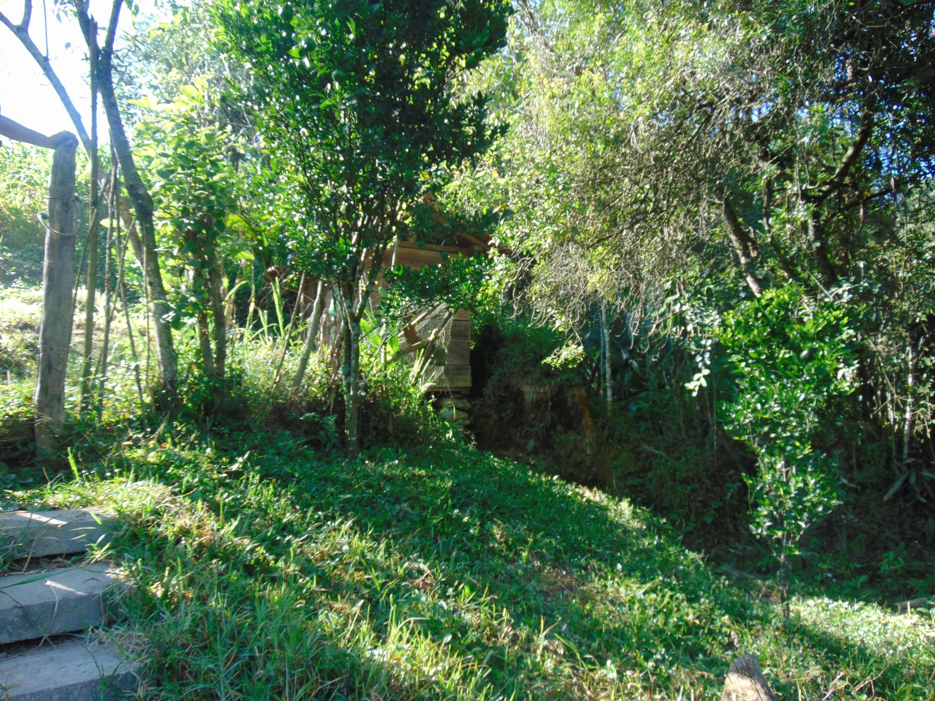 Monjolo D'Agua 