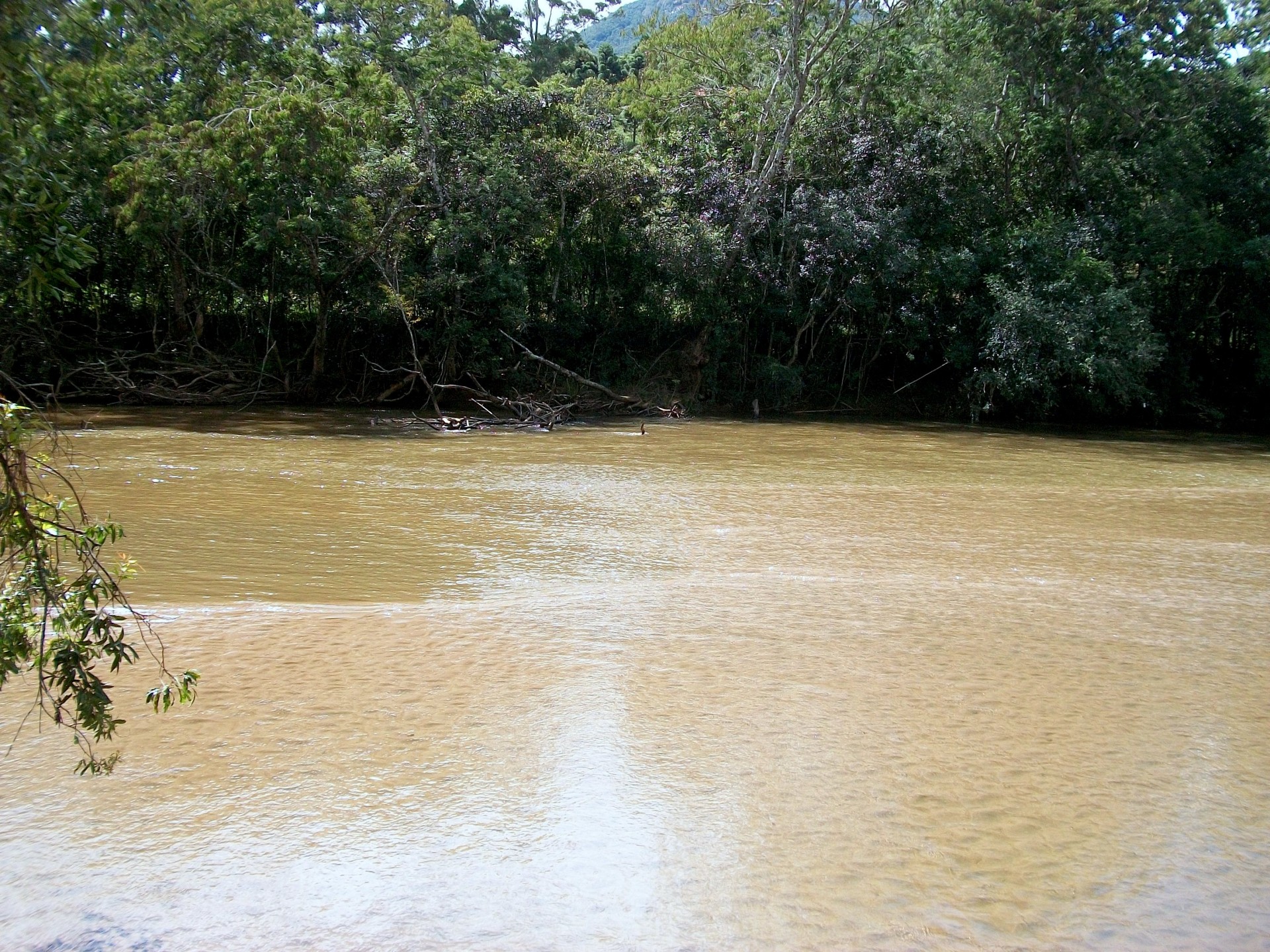 Areião 