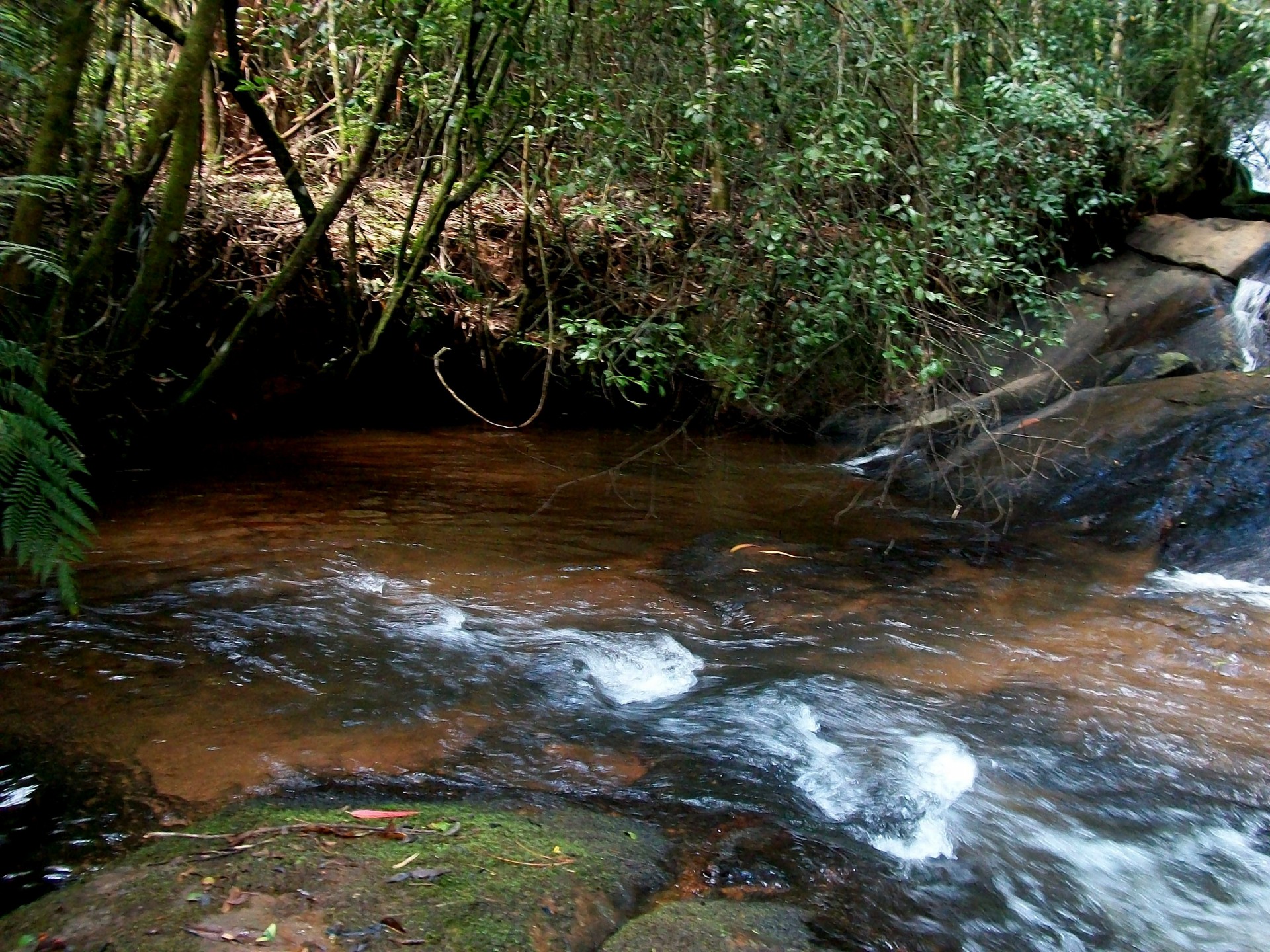 Cachoeira das Borboletas 