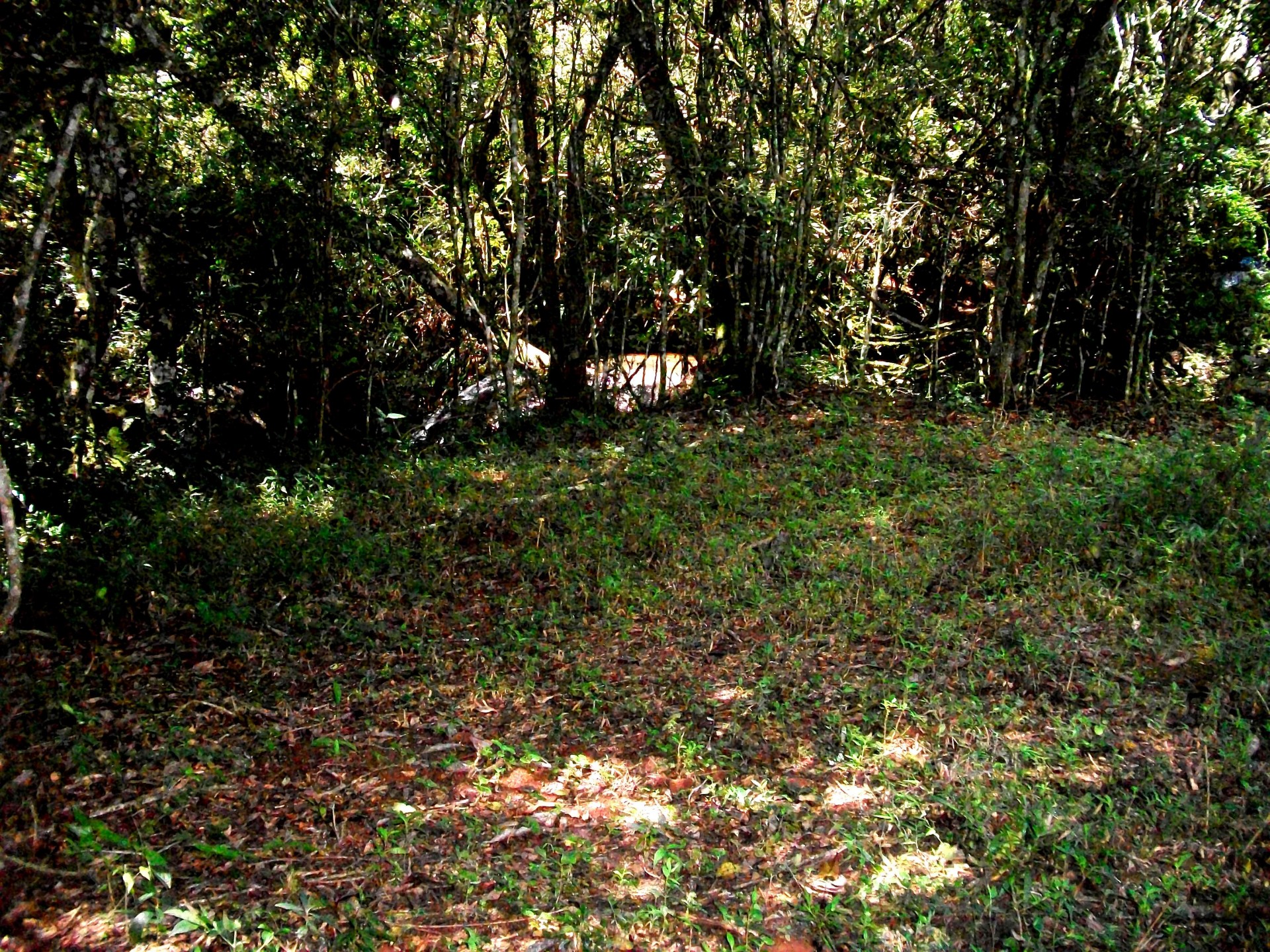 Cachoeira das Borboletas 