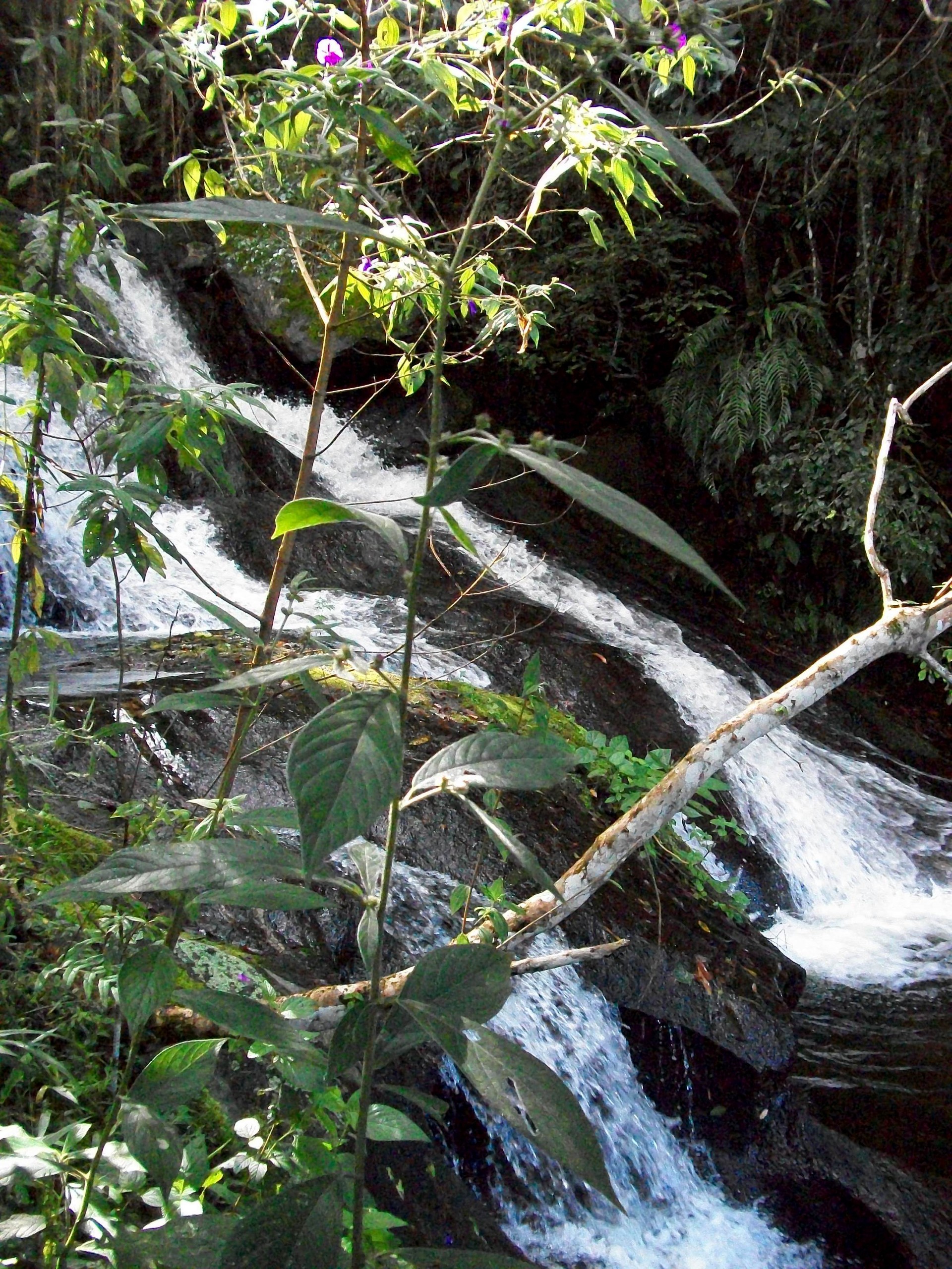 Cachoeira das Três Quedas 