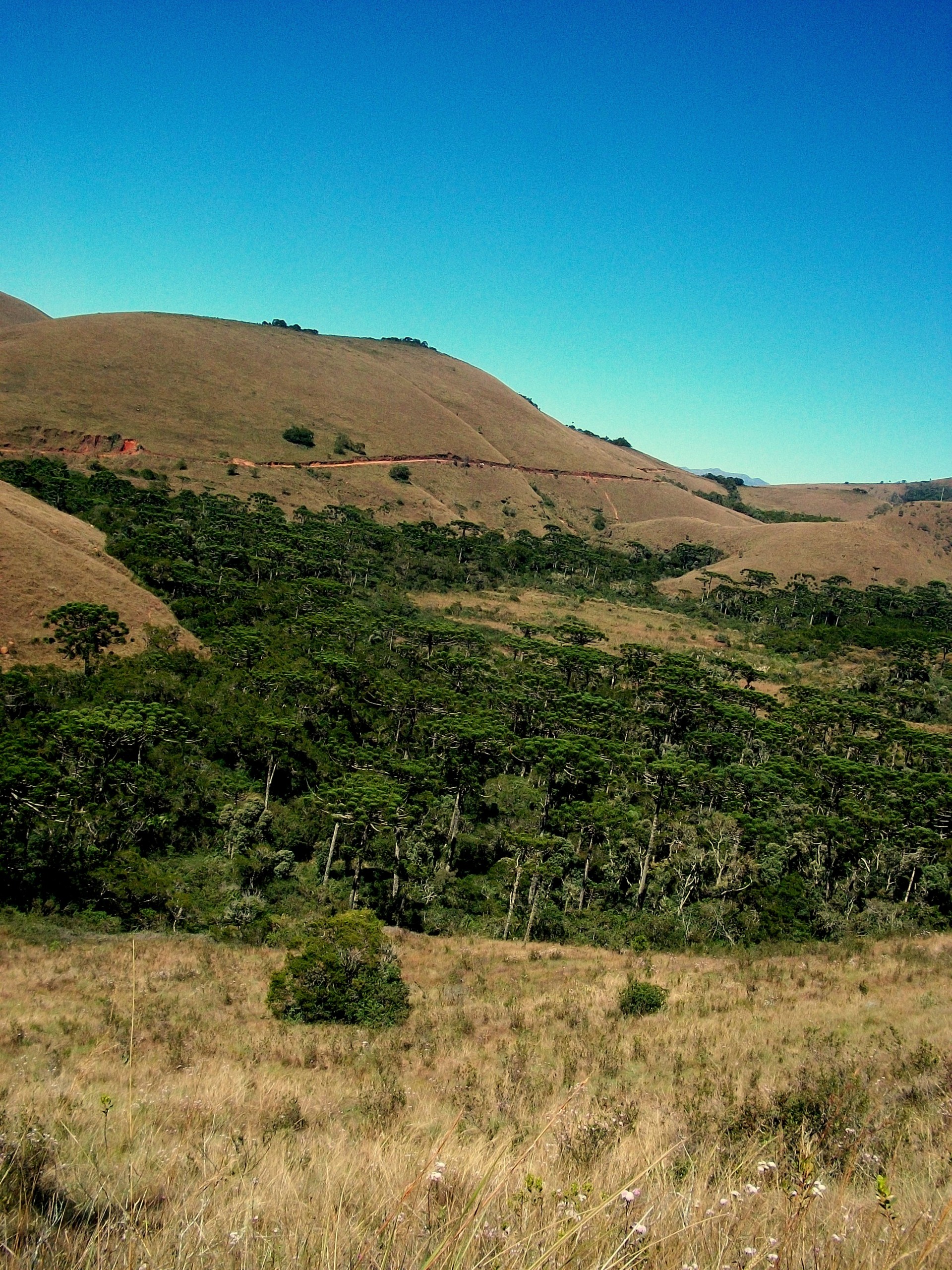 Conjunto Paisagístico do Garrafão 