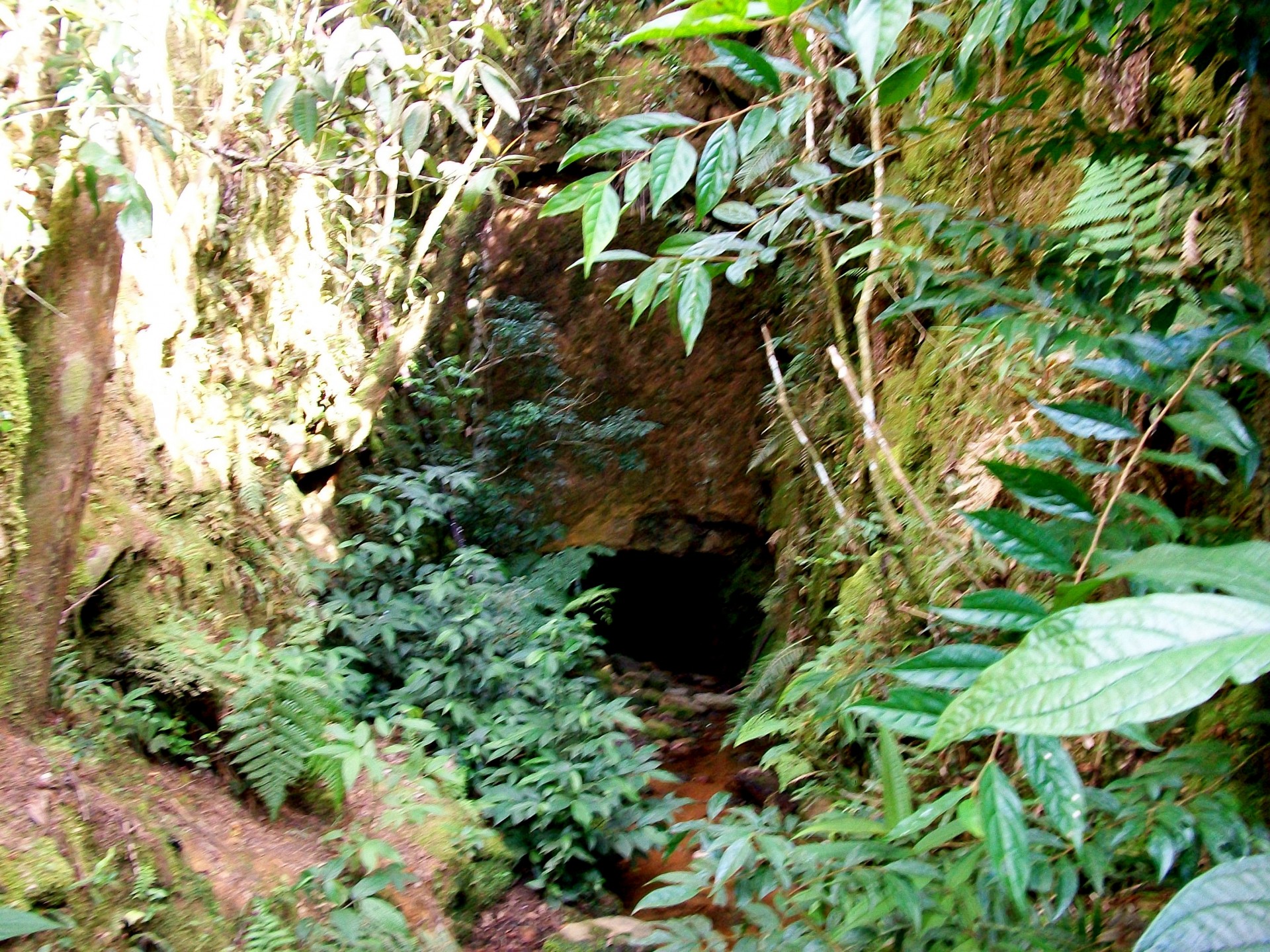 Conjunto Paisagístico do Garrafão 