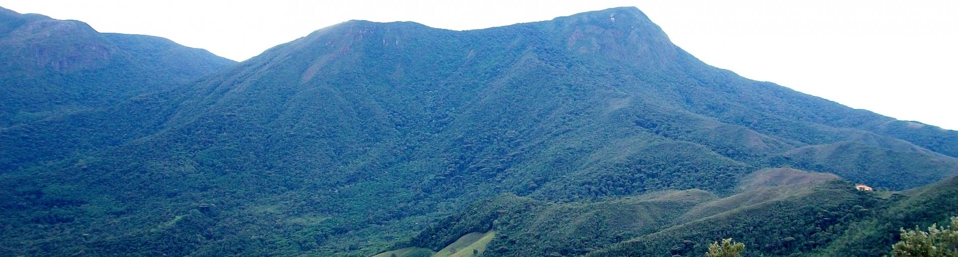 Mitra do Bispo
