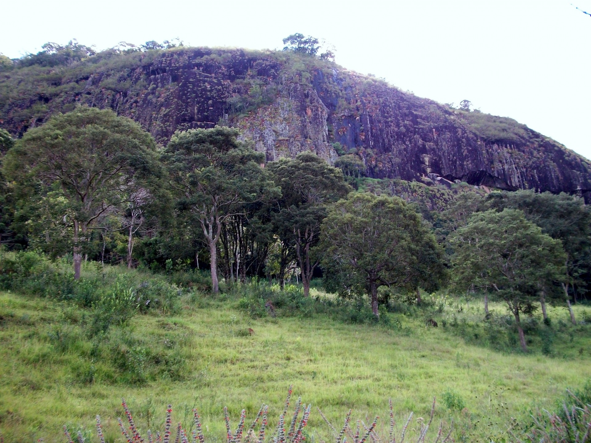 Pedra da Campina