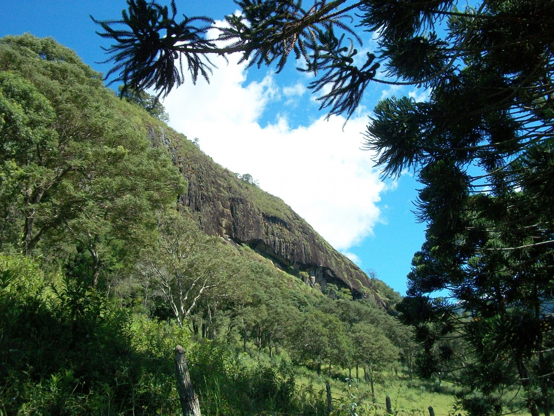 Pedra da Campina