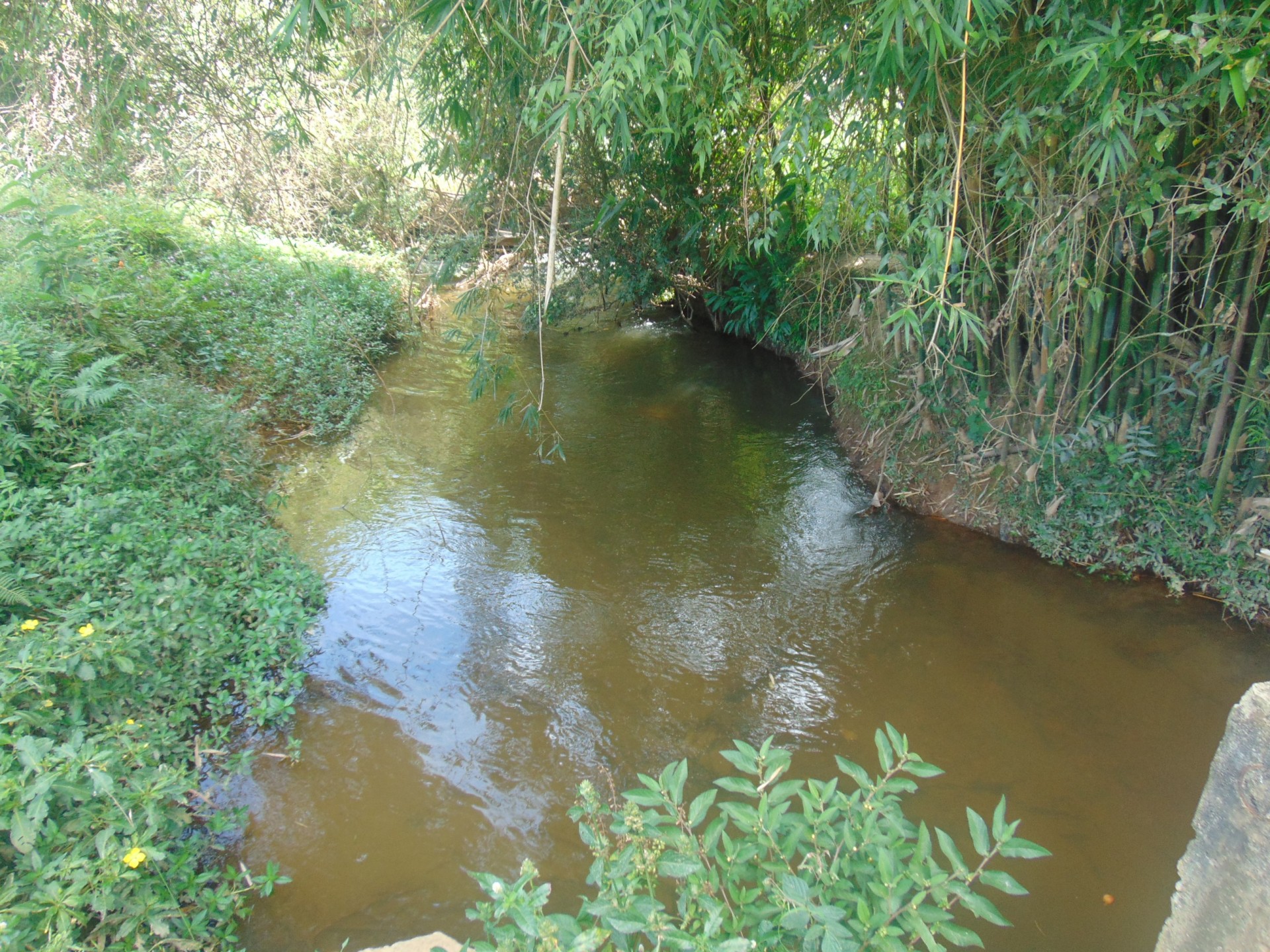 Ribeirão dos Campos 