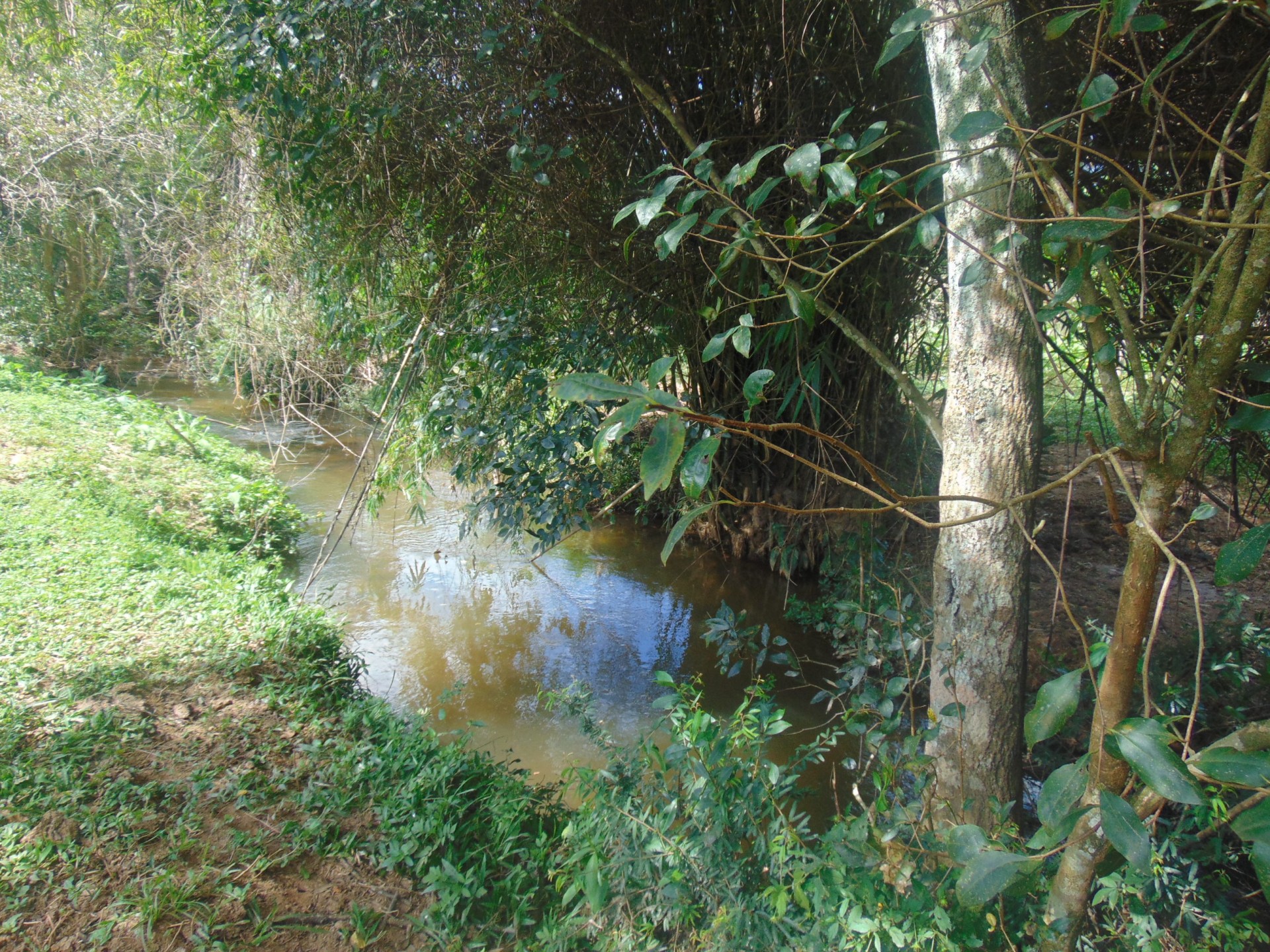 Ribeirão dos Campos 