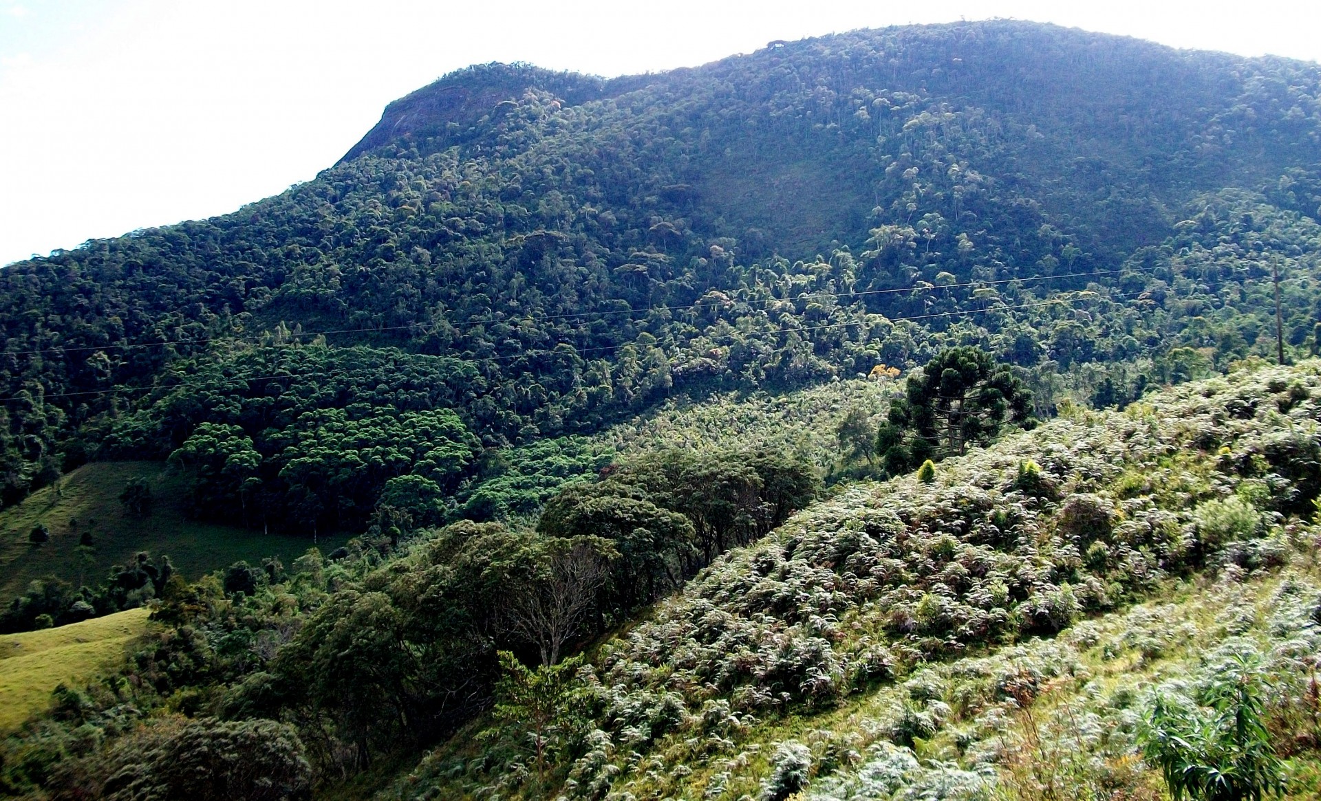 Serra do Condado