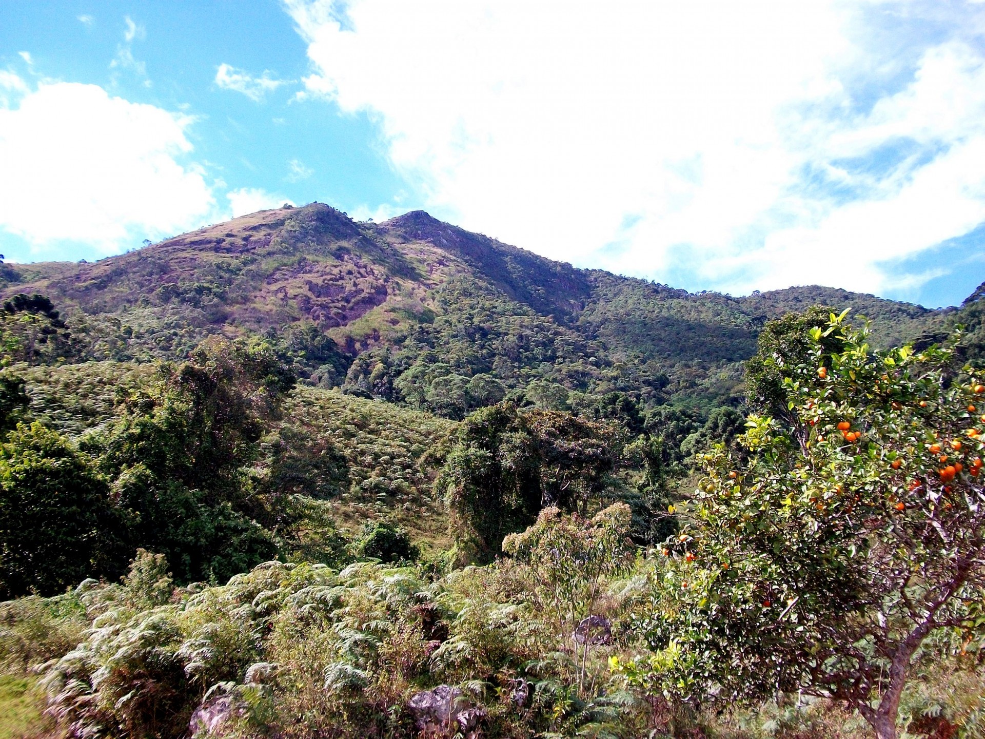 Serra do Condado