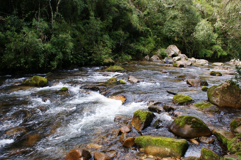 Rio Aiuruoca