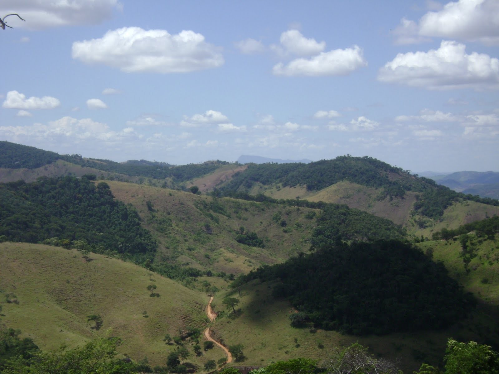 Trilha