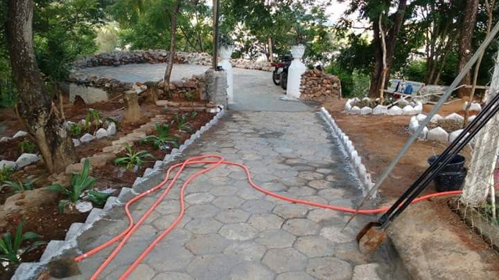 Horto Florestal