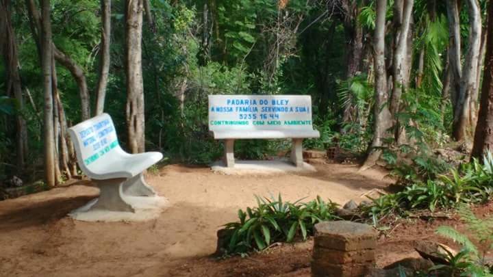 Horto Florestal