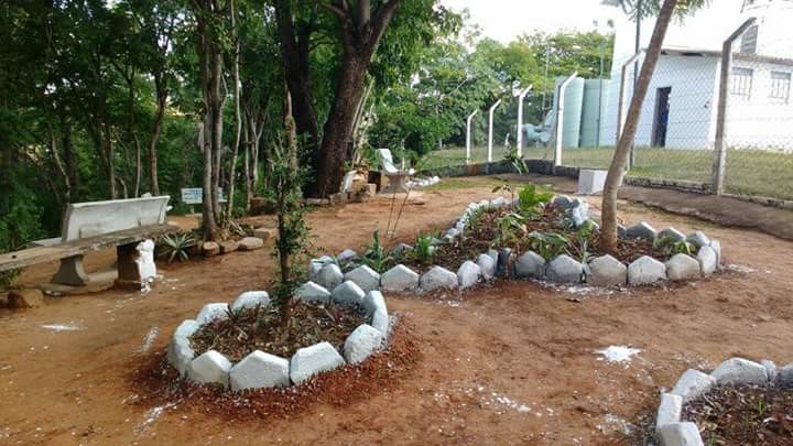 Horto Florestal