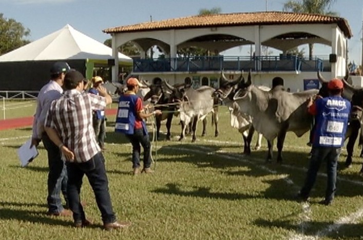 Parque de Exposições Ernesto de Salvo 