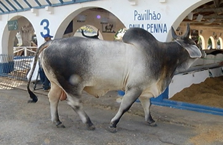 Parque de Exposições Ernesto de Salvo 