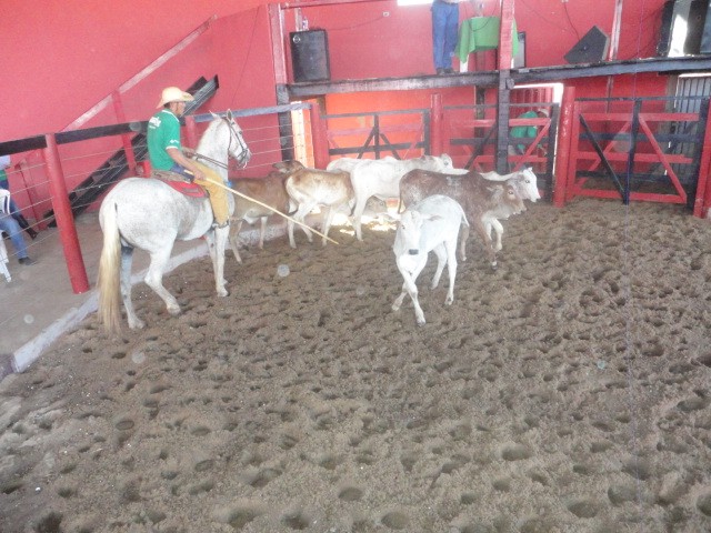 Clube do Cavalo de Itacarambi