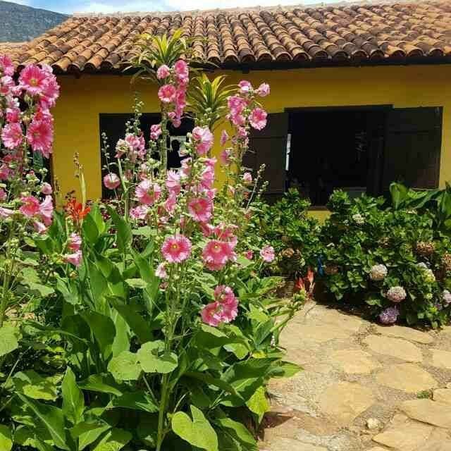 Restaurante Moendas