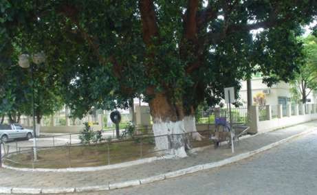 Praça da Jaqueira