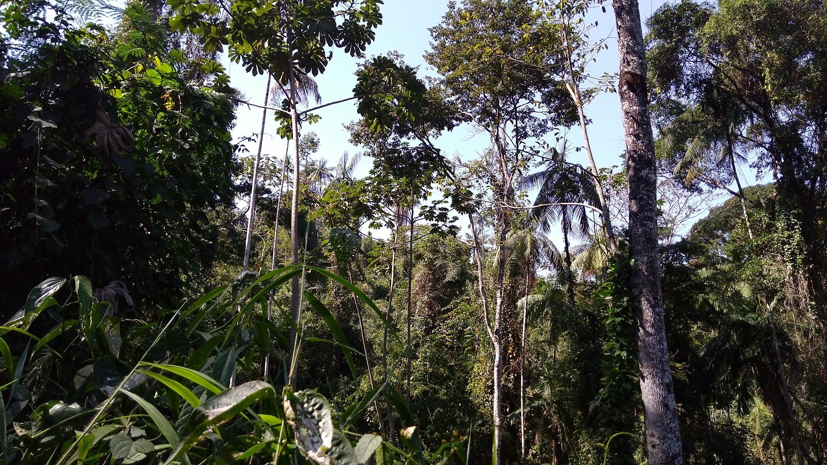 Parque Estadual dos Campos Altos