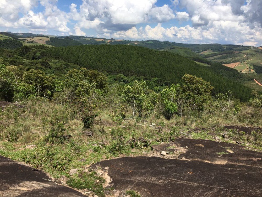 Trilha da Pedra do Tim