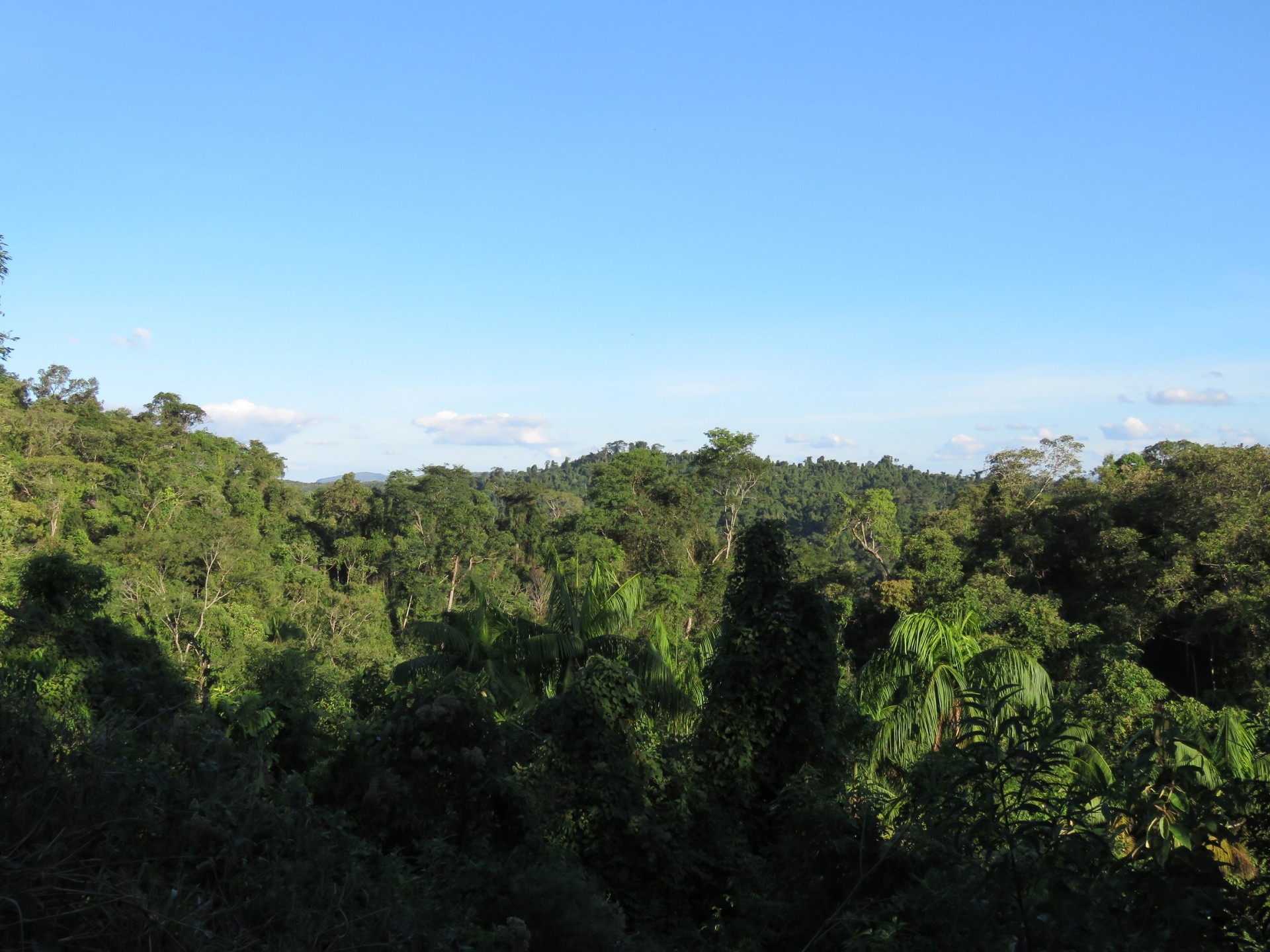 Parque Estadual dos Campos Altos