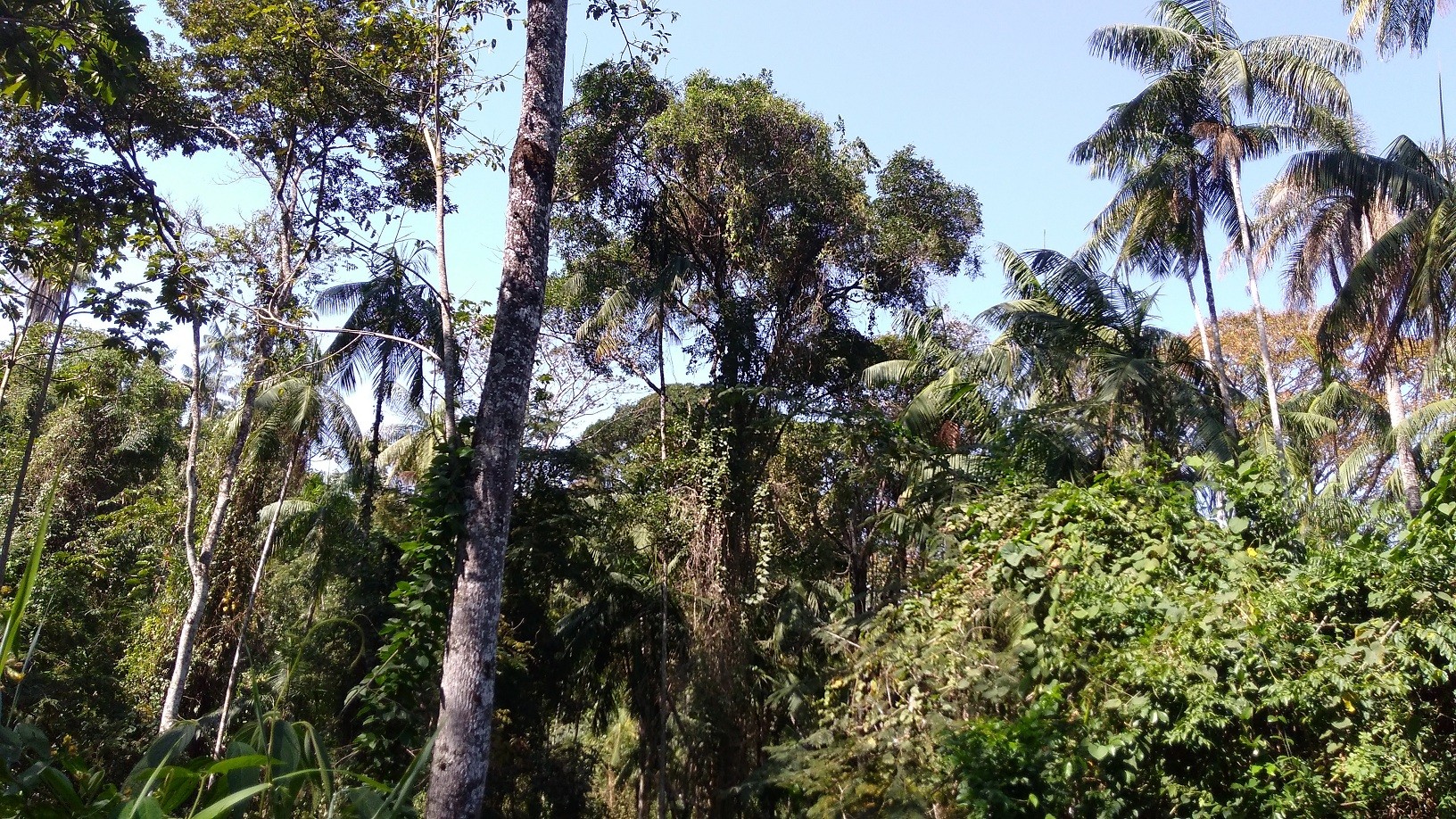 Parque Estadual dos Campos Altos