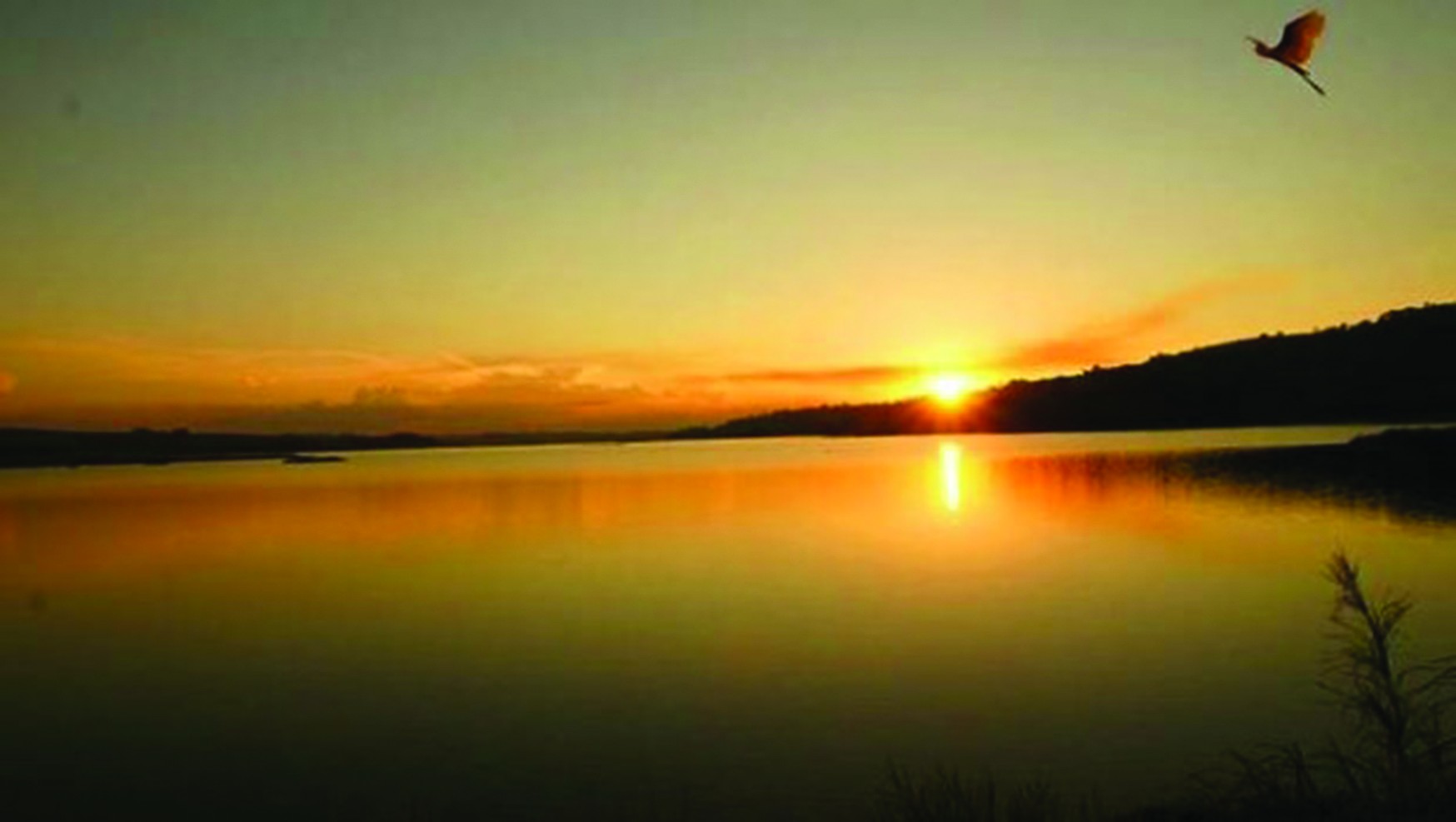 Represa de Furnas