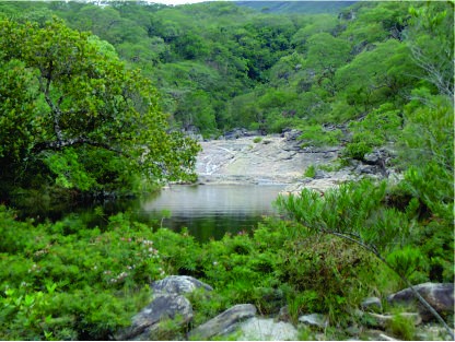 Cachoeira do Rala Bunda