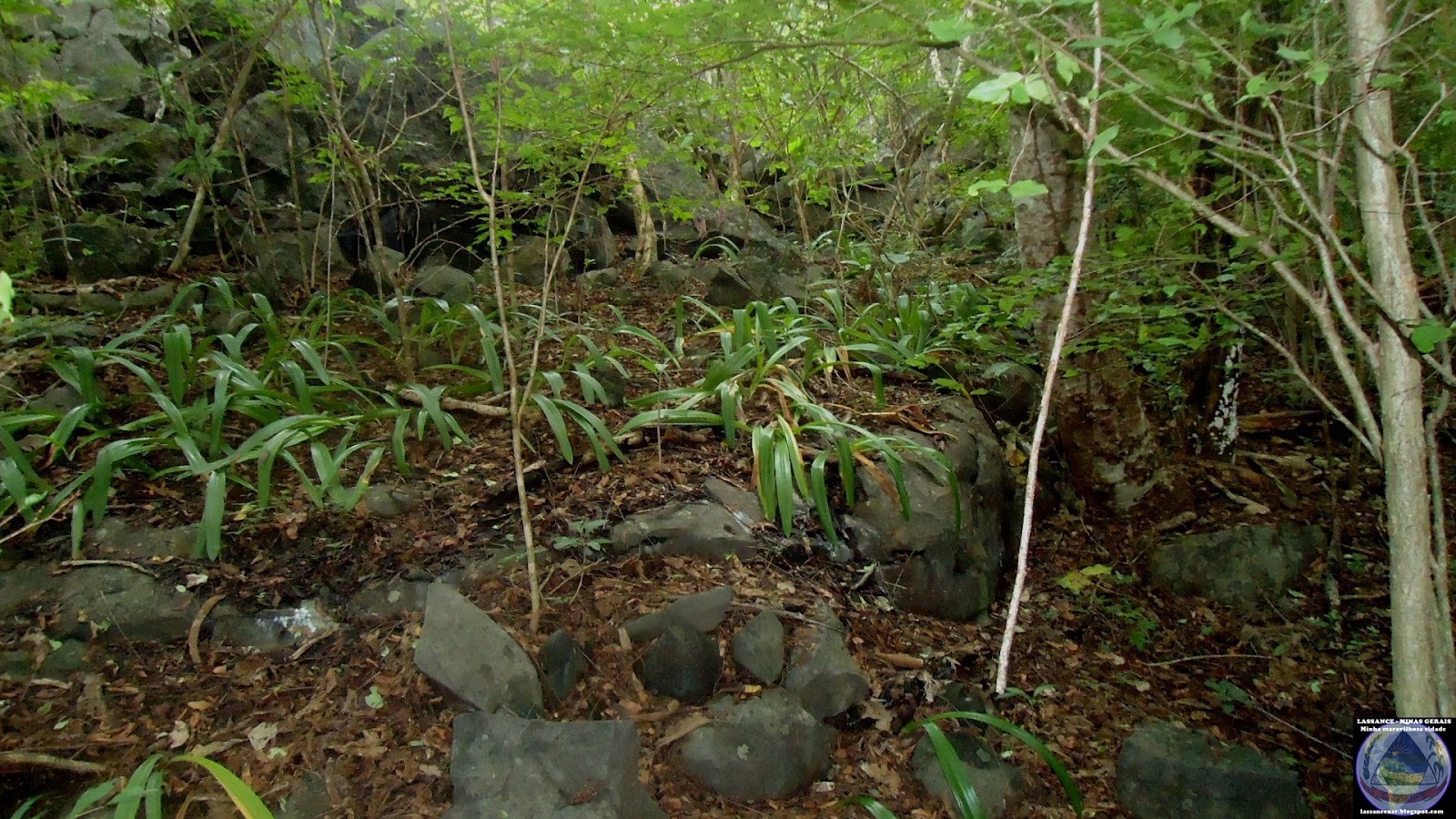 Gruta da Ponta