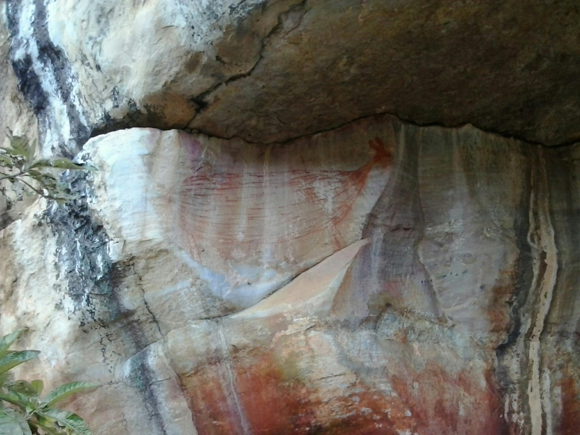 Pinturas Rupestre - Imagem 3