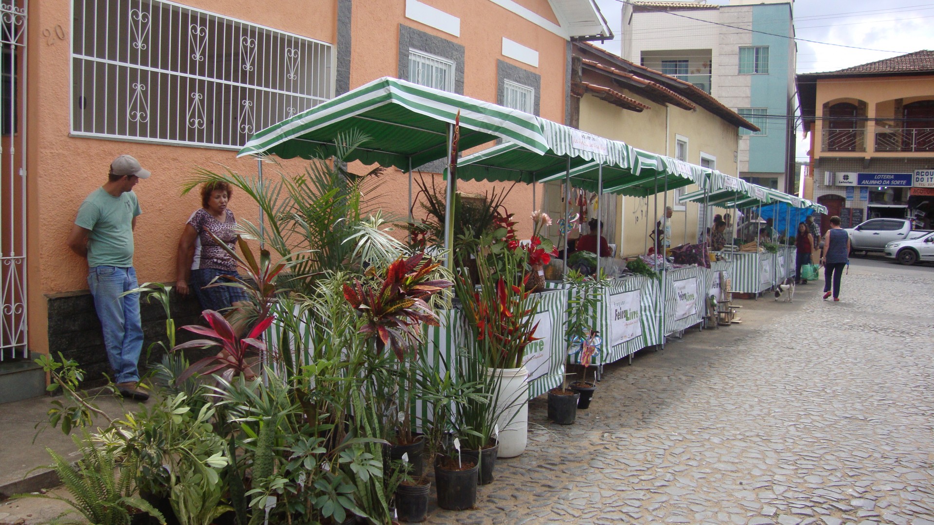 Feira Livre