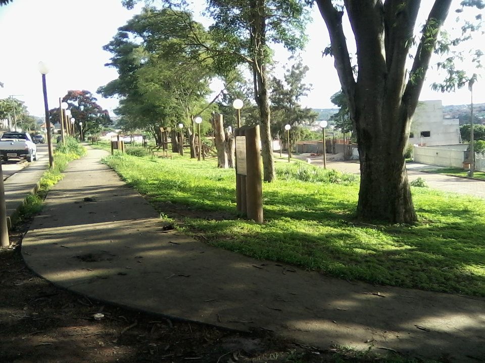 Praça do Eucalipto