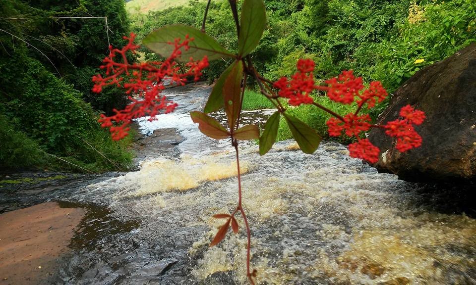 Cachoeira do Gato