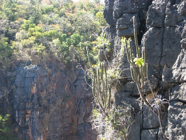 Gruta das Bromélias