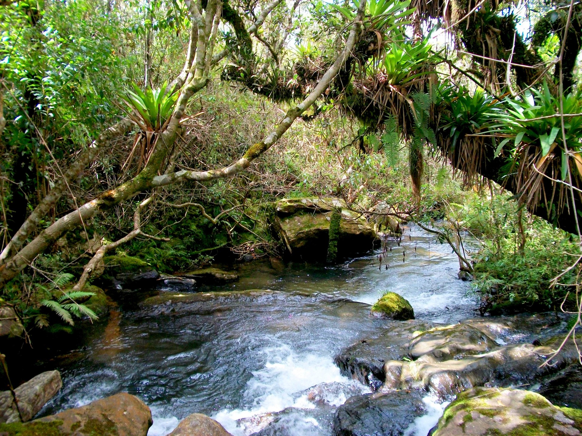 Cachoeira do João Lico