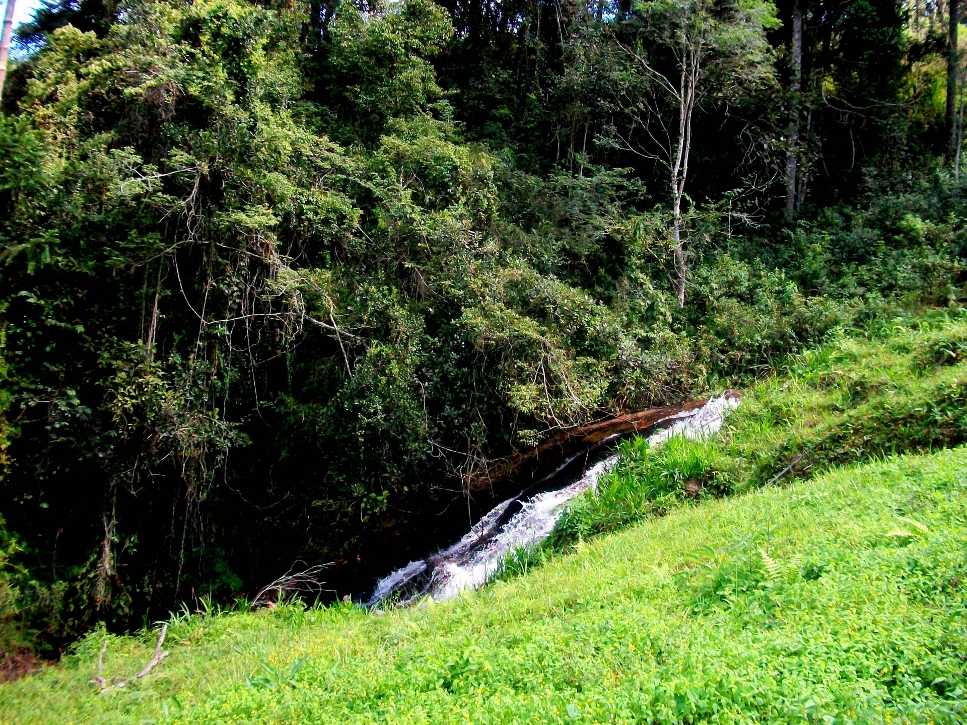 Cachoeira do Veloso 