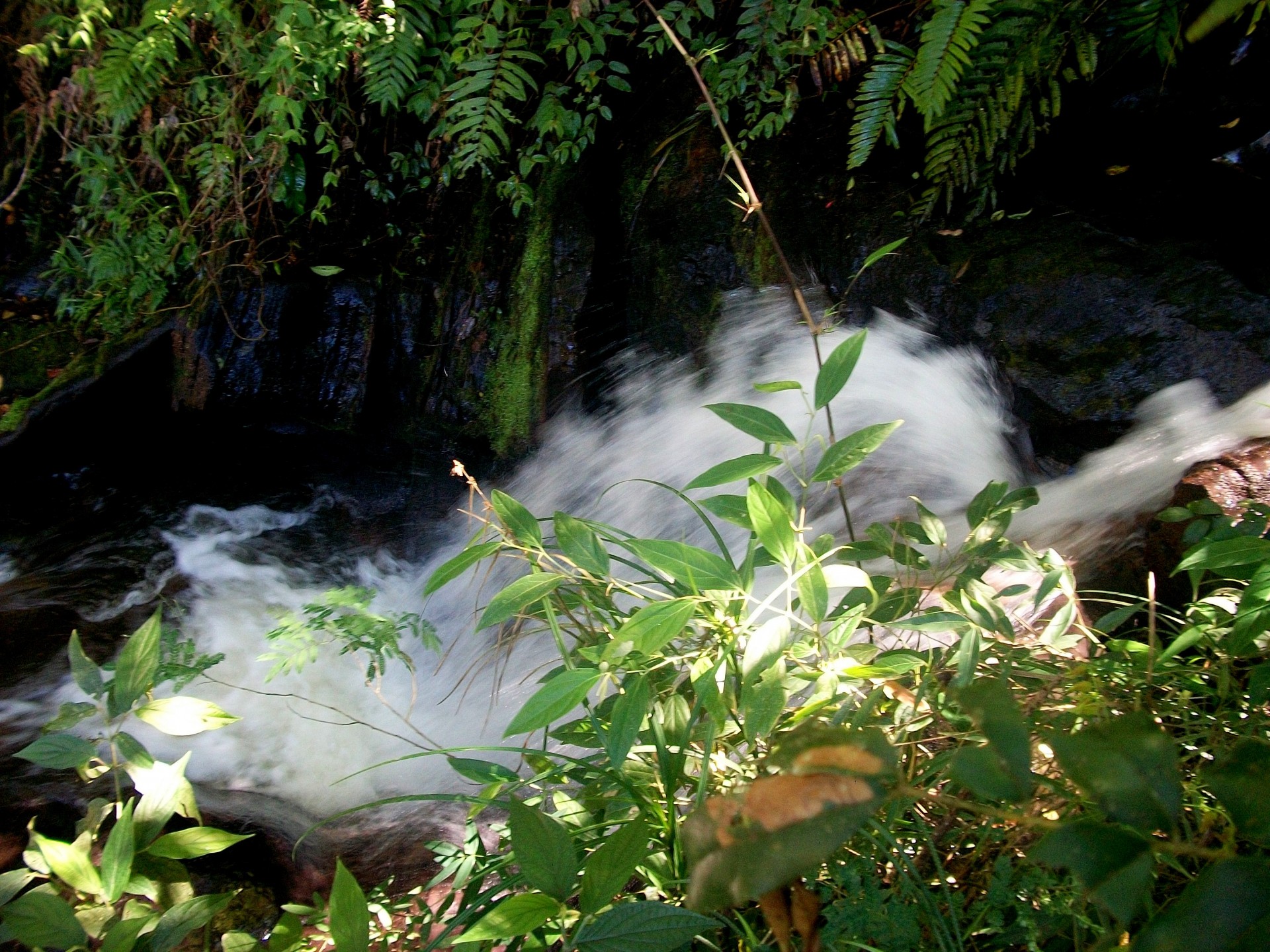 Cachoeira do Veloso 