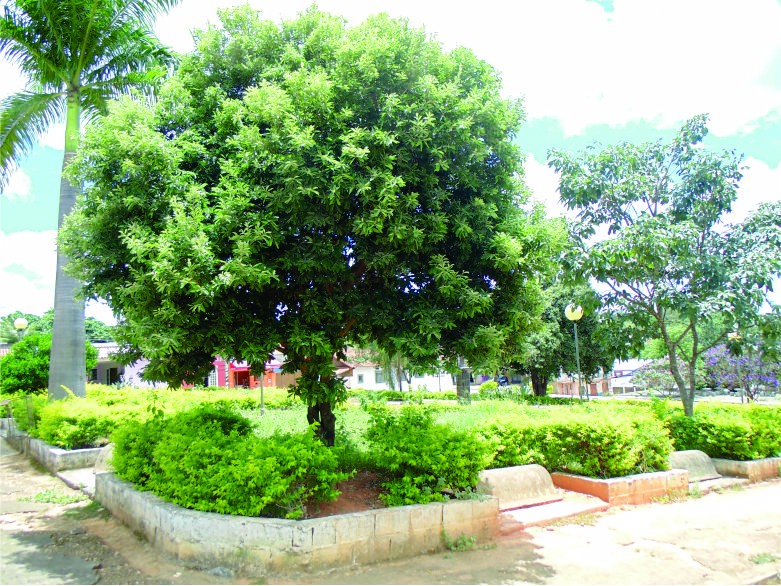 Praça de São José