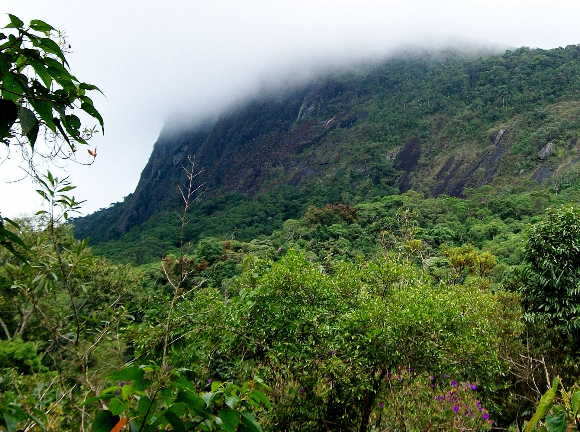 Pedra do Gavião
